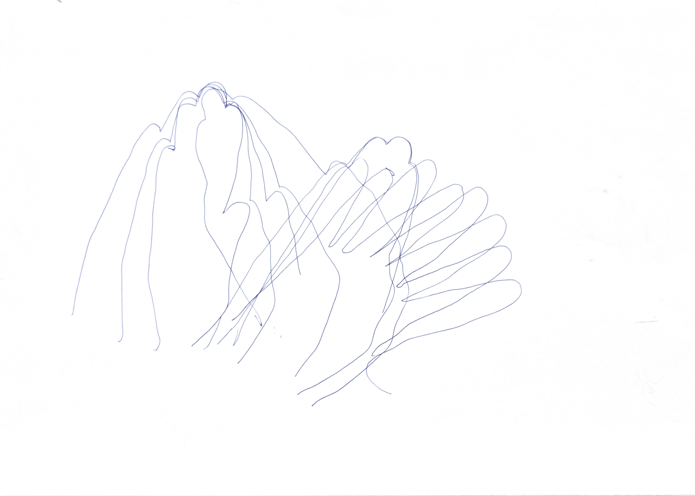 outlined drawing of a hand